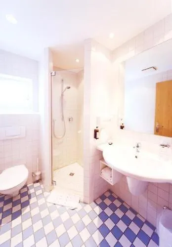 Stadthotel Convikt דילינגן אן דר דונאו